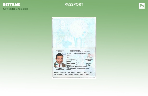 Шаблон за пасош на Киргистан во модерен стил